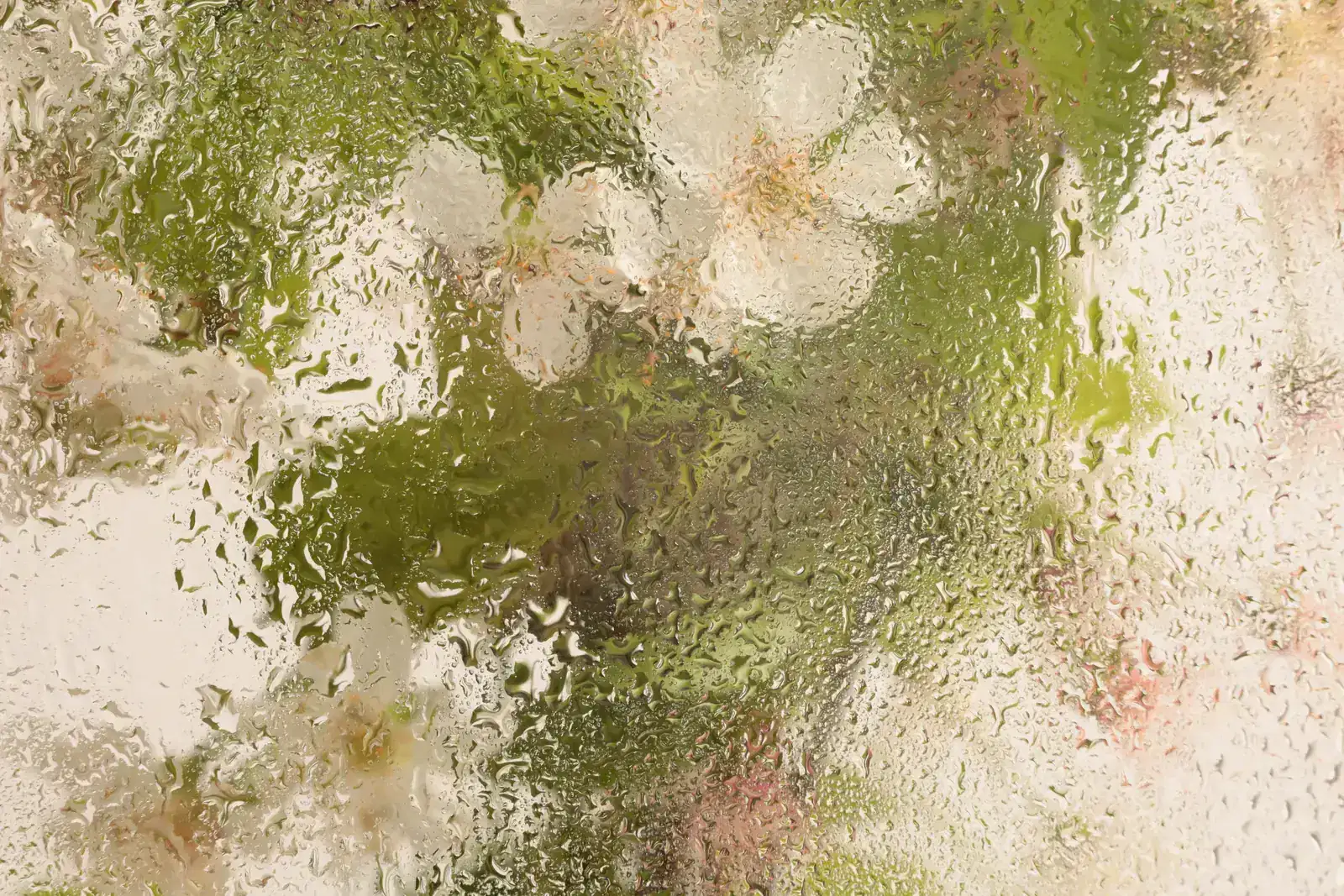 Blossoms blurred behind rain-streaked glass, like the hidden effort of ADHD masking