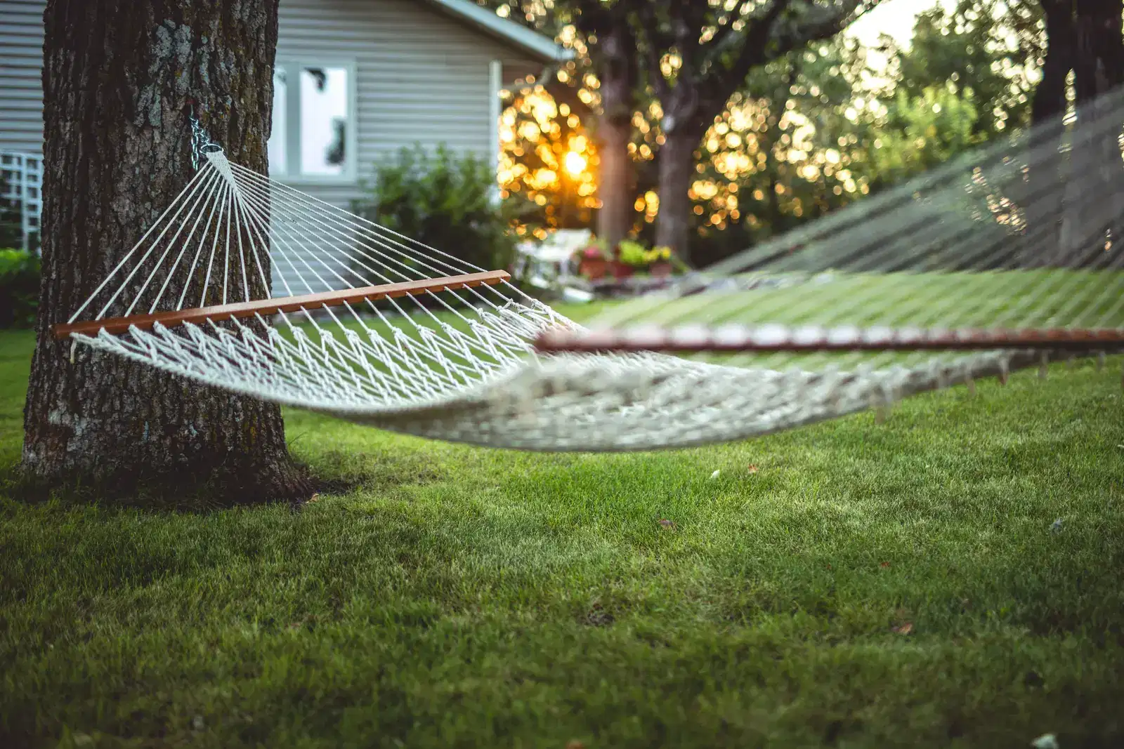 An empty hammock strung under a shady tree in a quiet garden, a place to rest from grief fatigue