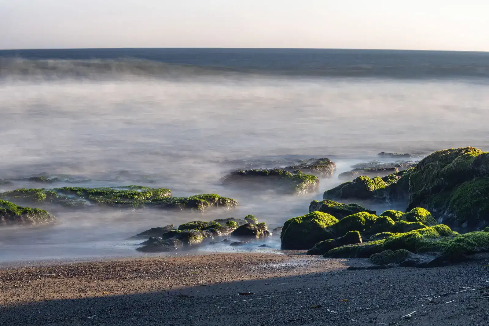 Mossy rocks at low tide with mist rolling over the water, the way grief comes in waves of intense emotions and quieter stretches