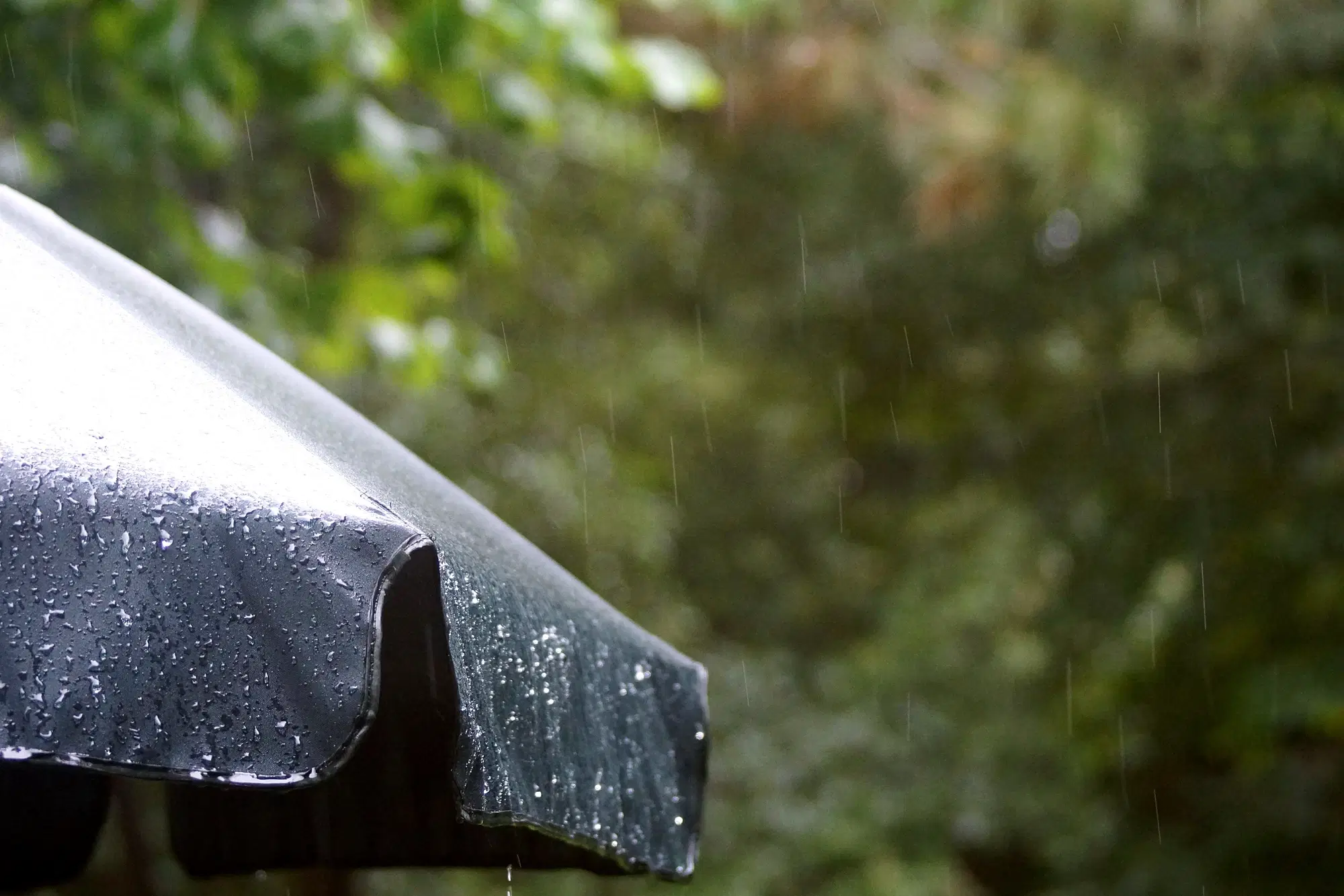 An umbrella open in soft rain, for anyone living with an alcoholic who needs support, boundaries and a little shelter while coping with the stress.