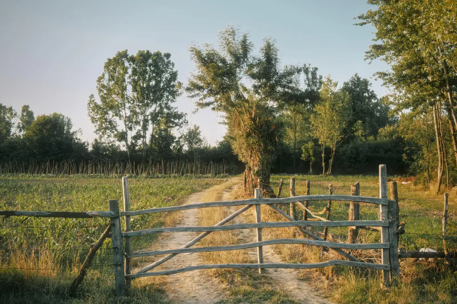 Rustic wooden gate across a country path, a symbol of the barriers, support and recovery steps that help you quit sports betting and stay off betting apps.