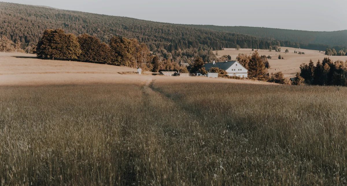 A farmhouse among fields and forest, therapy wherever you live in Ontario