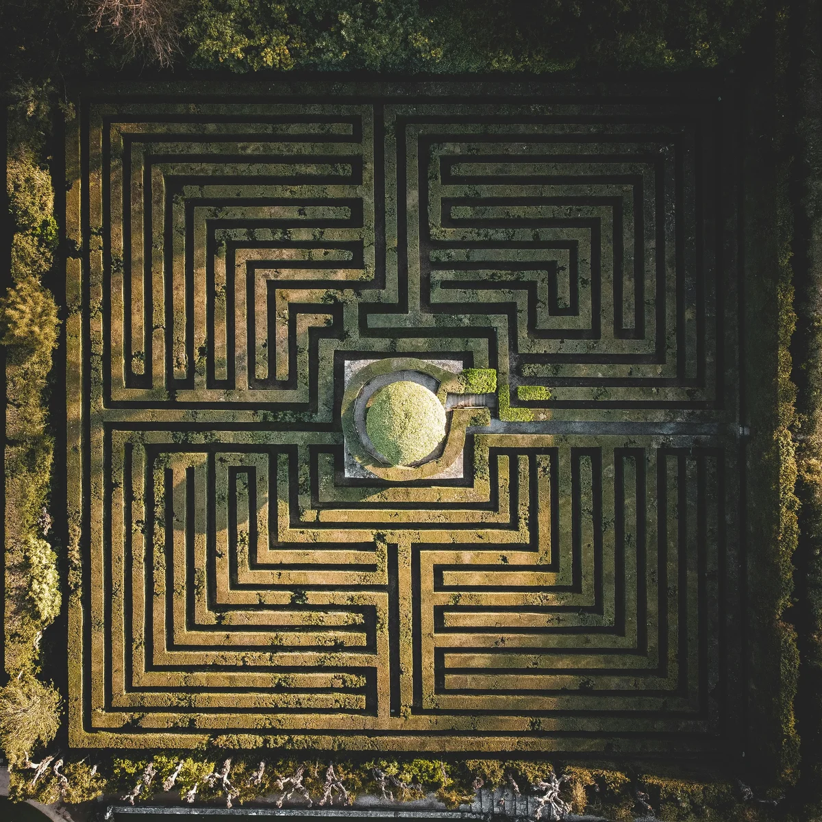A hedge maze seen from above, the way obsessions and compulsions can feel like a loop with no way out