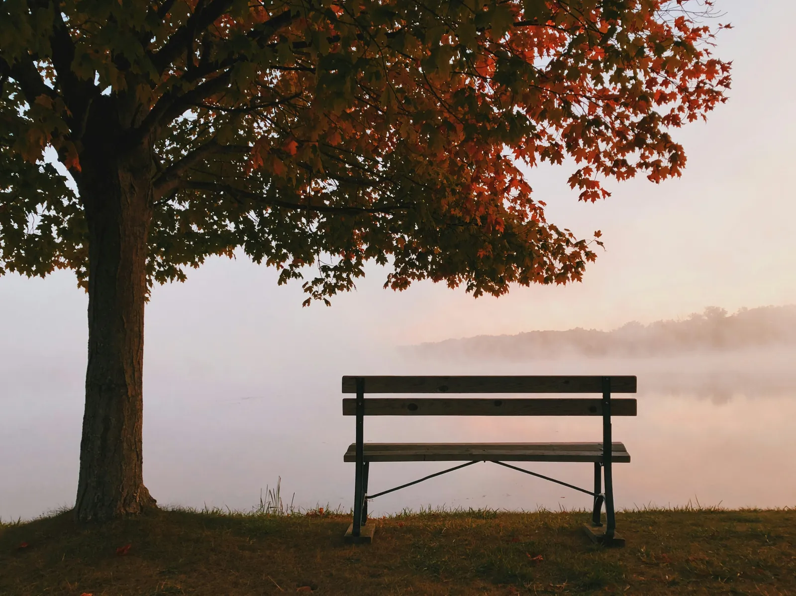 An empty wooden bench under a maple tree beside a misty lake at dawn, a quiet place to begin with a couples therapist