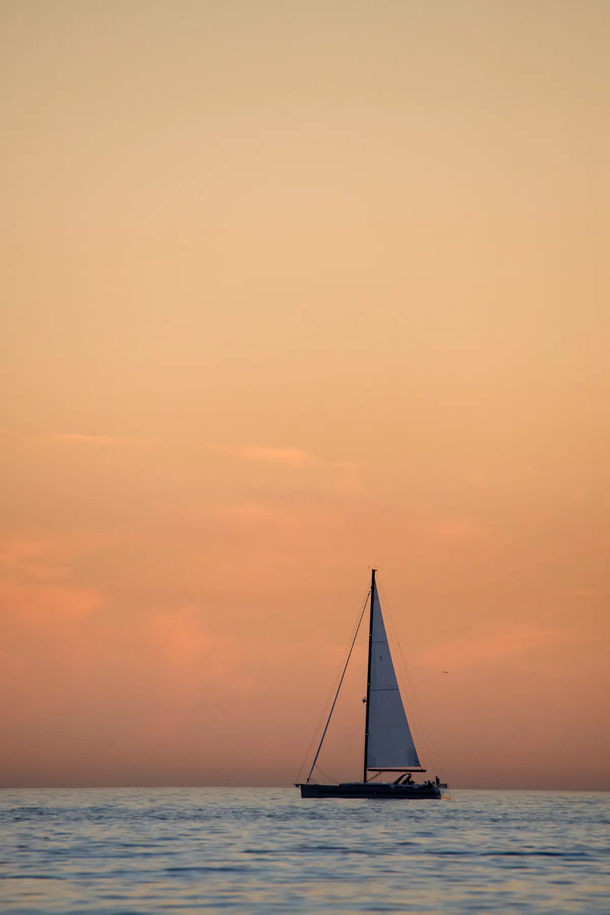 A single sailboat on calm water under a soft peach sky, an image for starting over after divorce