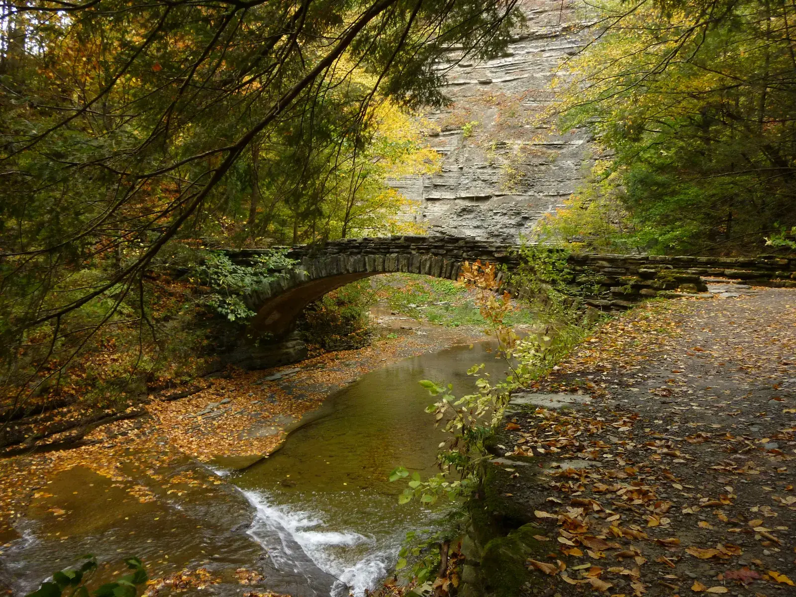 An old stone bridge arching over a stream on a leaf-covered autumn path, an image for marriage therapy